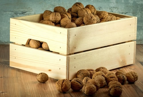 Tipos de materiales de embalaje usados en alimentos